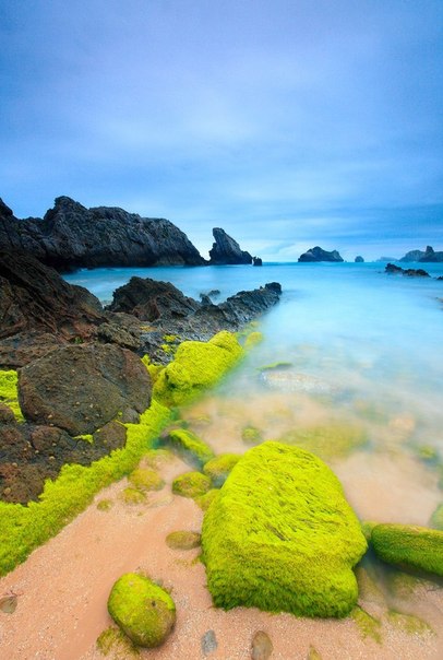 Кислотная зелень морской соли и мха на каменном побережье