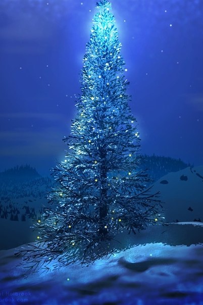 Сияющая праздничными огоньками рождественская елка