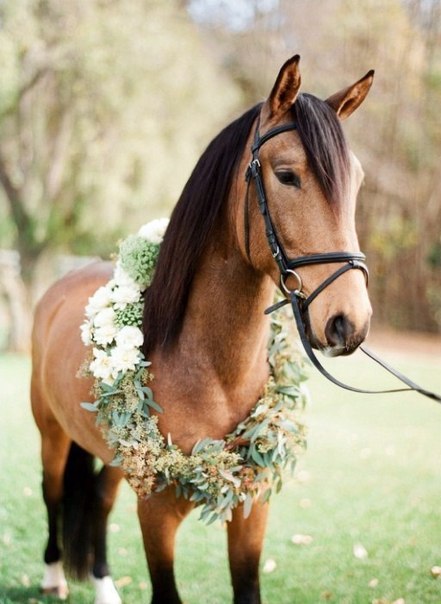 Красивый рыжий конь украшенный венком из полевых трав и цветов