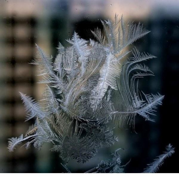 Зимний узор на стекле снежного пуха из подушки Снежной кролевы
