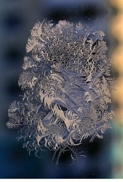 Зимний узор на стекле волшебного дерева из страны Фантазий