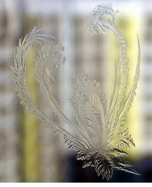 Зимний узор на стекле диадема снежной королевы