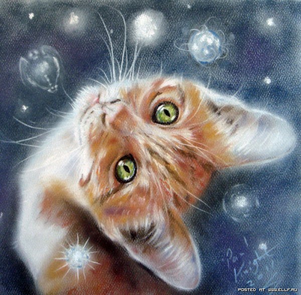 Мордашки кошек нарисованные художником